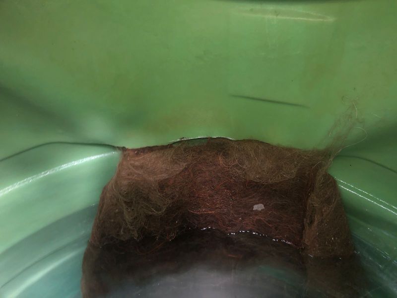 Lavado  y reparado de cisternas tanques Rotoplas con raices reparacion Guadalajara Zapopan