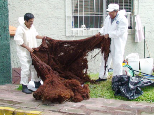 Lavado de cisternas Rotoplas con Raices reparado guadalajara Zapopan